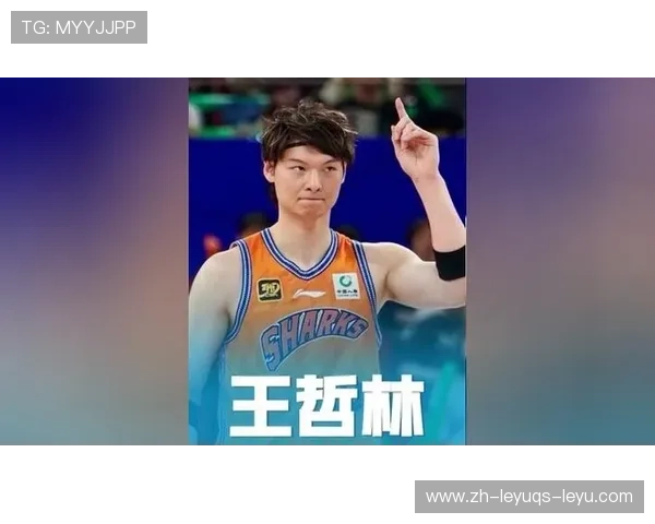 王哲林入选CBA第39轮最佳阵容公布徐杰赵继伟组后场黄金搭档