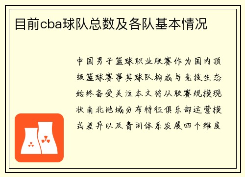 目前cba球队总数及各队基本情况